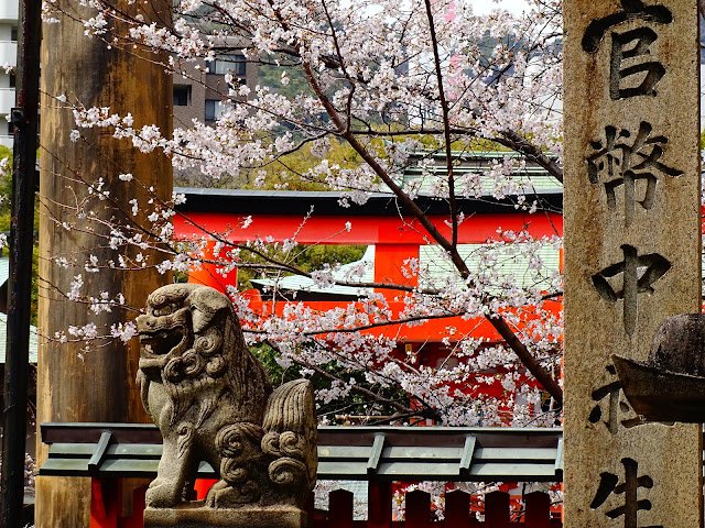 ⛩️ 이타키소 신사(이타키소 진자) 이미지 10